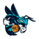 https://img.edgemoorroad.com/img/basketball/team/a9d5ba9ae32c07e72069b090647aaf32.png