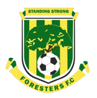 https://img.edgemoorroad.com/img/football/team/22d34977e2073c02e54fc274aaf091ec.png